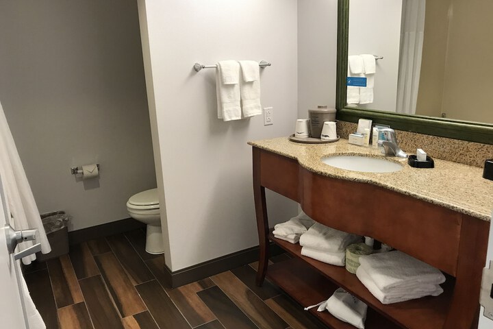 Hampton Inn & Suites Lamar