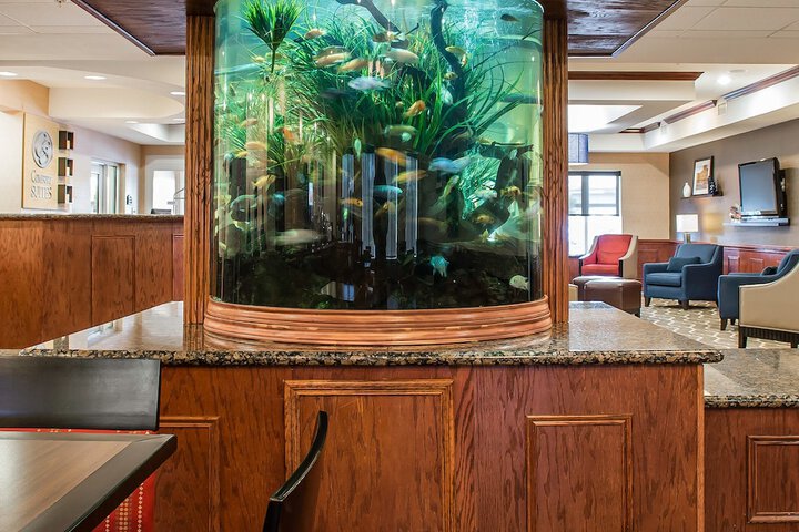 Comfort Suites Near Texas a & M University - Corpus Christi