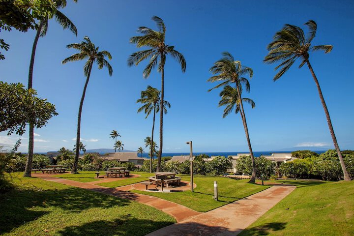 Wailea Ekolu #406