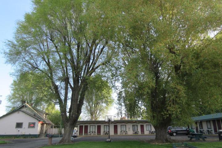 The Willows Motel