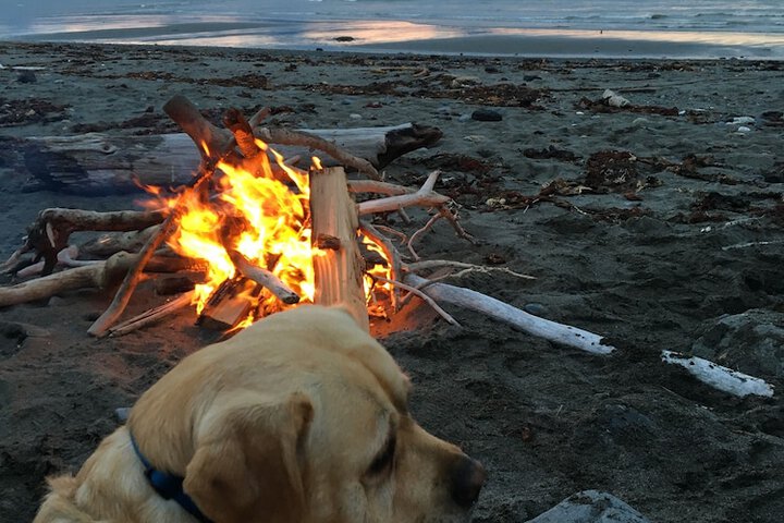 Beach 83 of 103