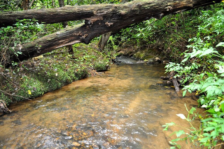 Twin Creeks