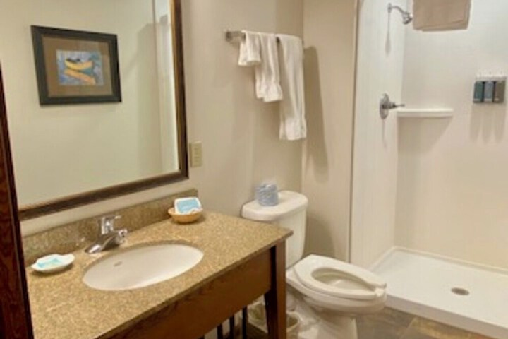 Arrowwood Resort Hotel and Conference Center - Alexandria MN