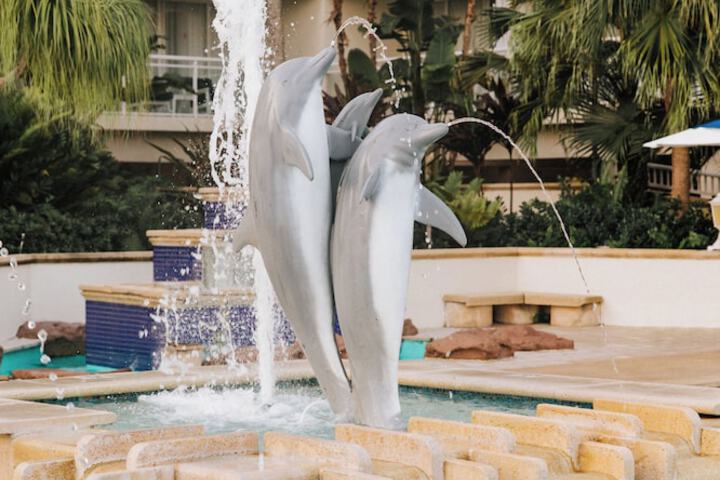 Reefhouse Resort & Marina