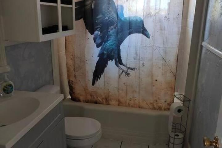 The vampires den downtown big house, pets ok