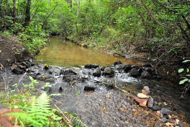 Twin Creeks