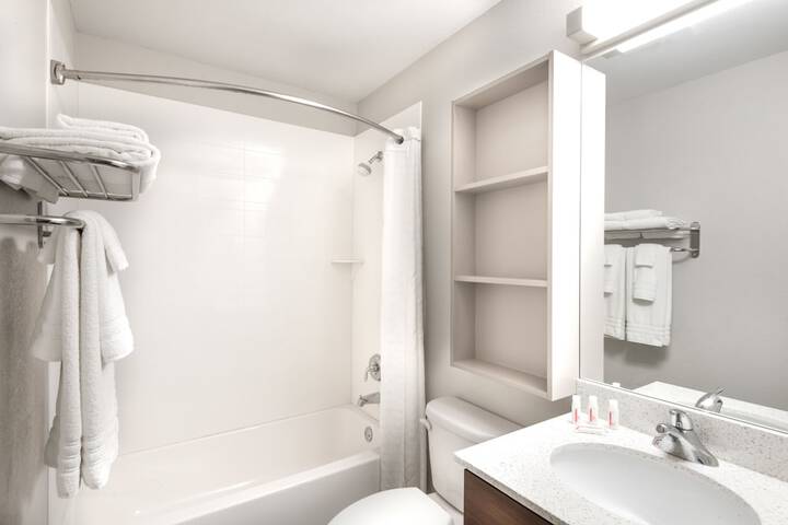 Microtel Inn by Wyndham Victor / Rochester