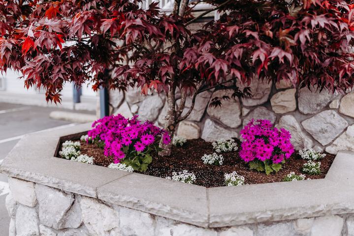 Terrace/Patio 31 of 34