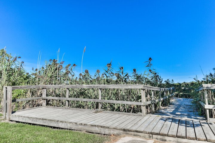 Sundeck 38 of 44