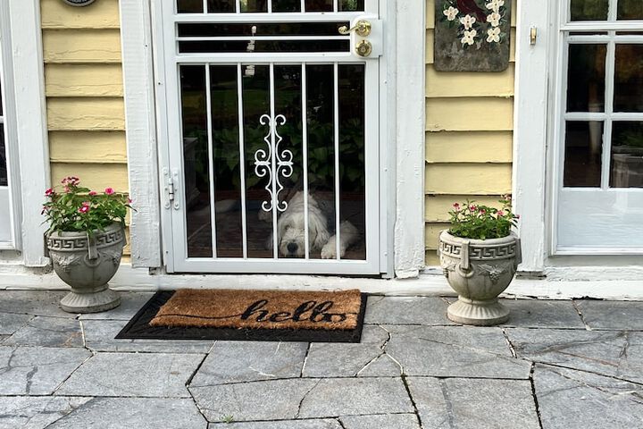 Pet Friendly 90 of 93
