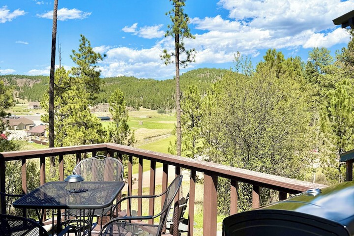 Mountain View Lodge & Cabins