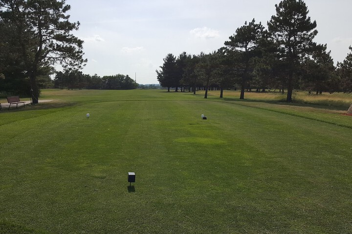 Golf 31 of 33