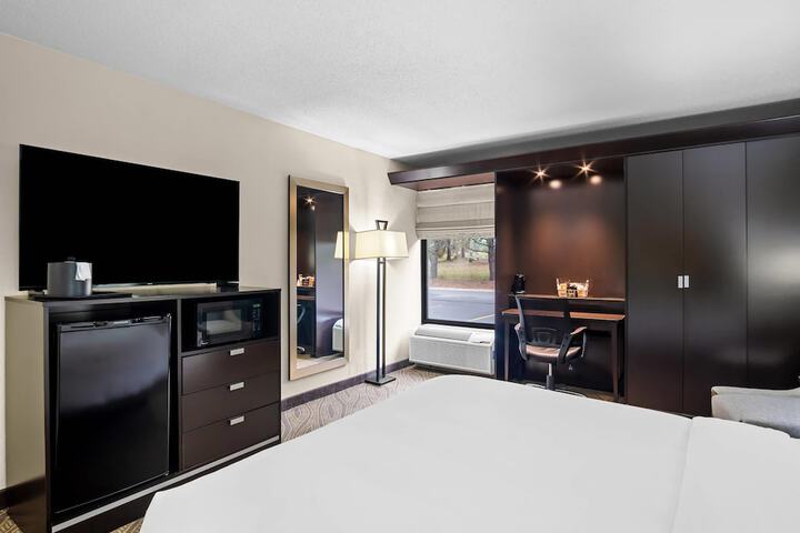 Comfort Inn Cadillac