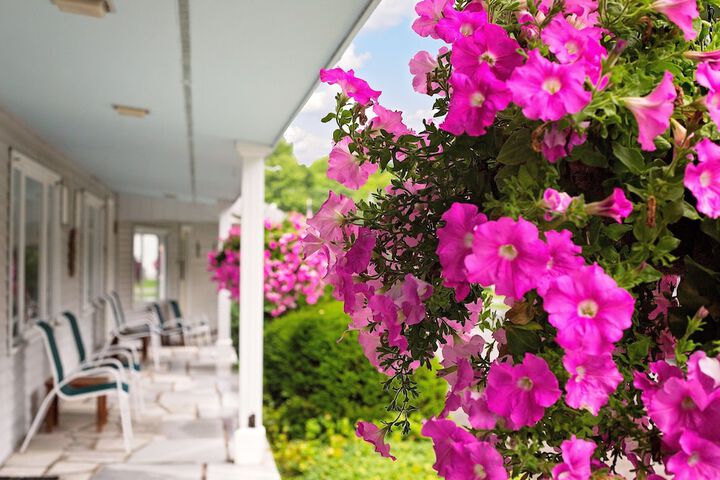 The Palmer House Resort an Ascend Collection Hotel