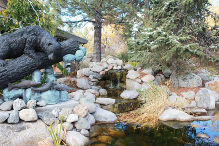 Bear Creek Resort
