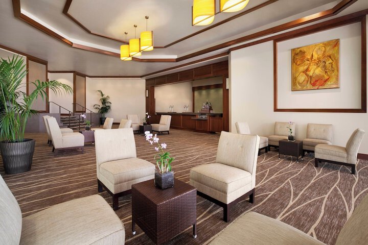 Lounge 202 of 247