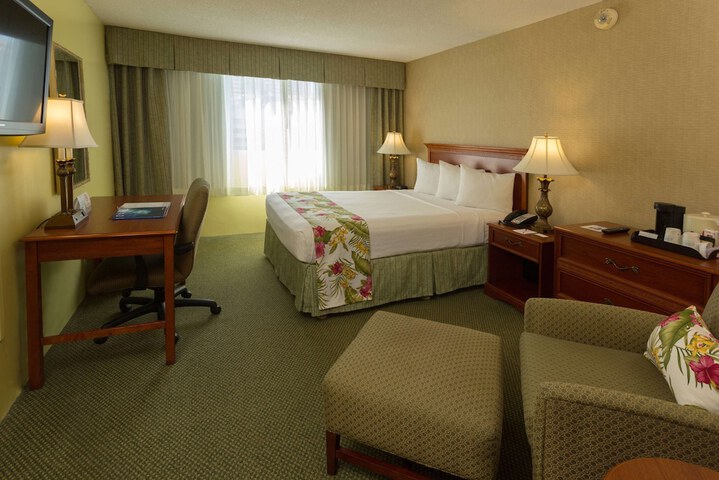 Room 19 of 48