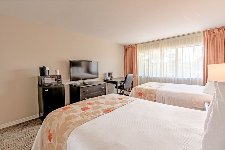 Room 15 of 19