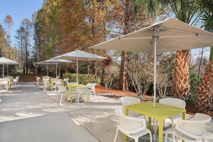 Hilton Garden Inn Tampa North Busch Gardens