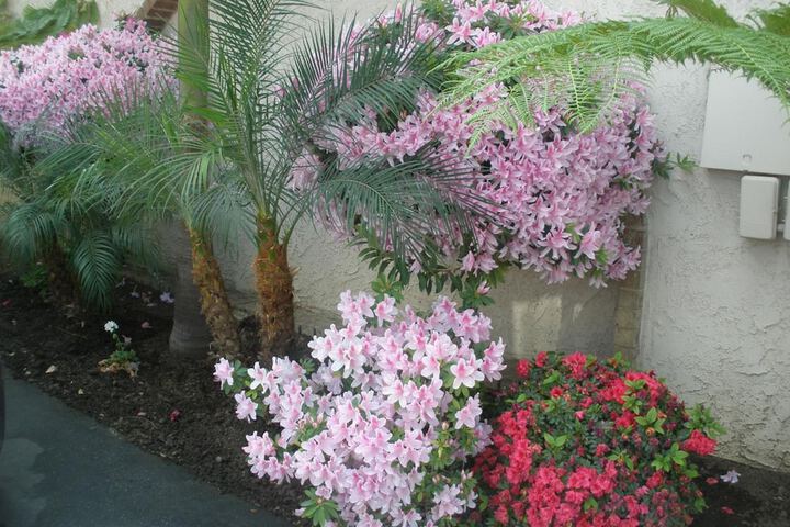 Garden Inn & Suites