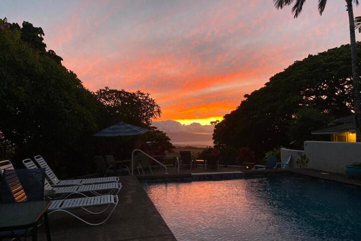 Banyan Tree B & B Retreat