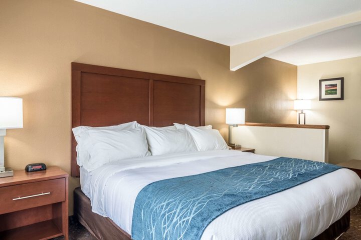 Comfort Inn & Suites - Hannibal