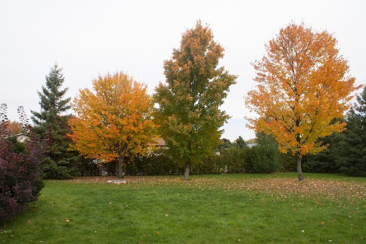 Property Grounds 21 of 23