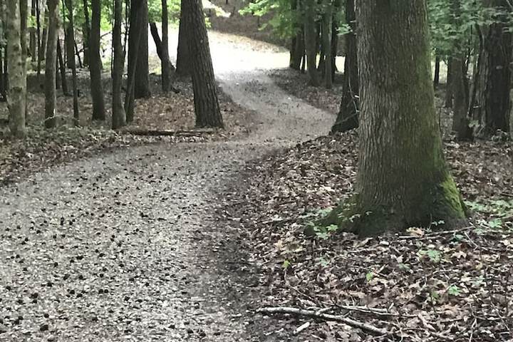 Property Grounds 56 of 58