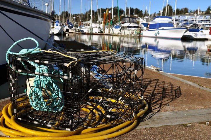 Embarcadero Resort Hotel & Marina