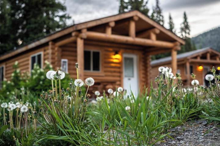 Togwotee Mountain Lodge