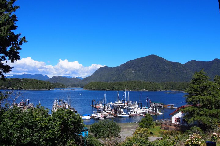 Tofino Motel Harborview