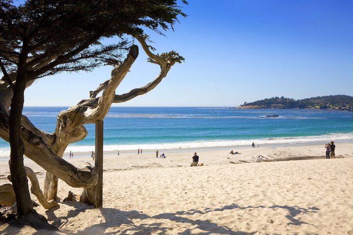Beach 48 of 57