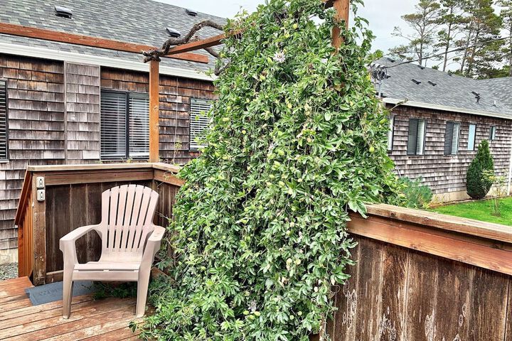 Terrace/Patio 120 of 129