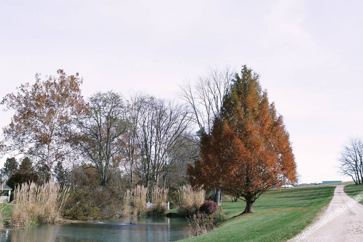 Inn at Stone Manor