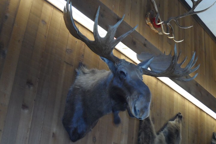 Bear Lodge Motel
