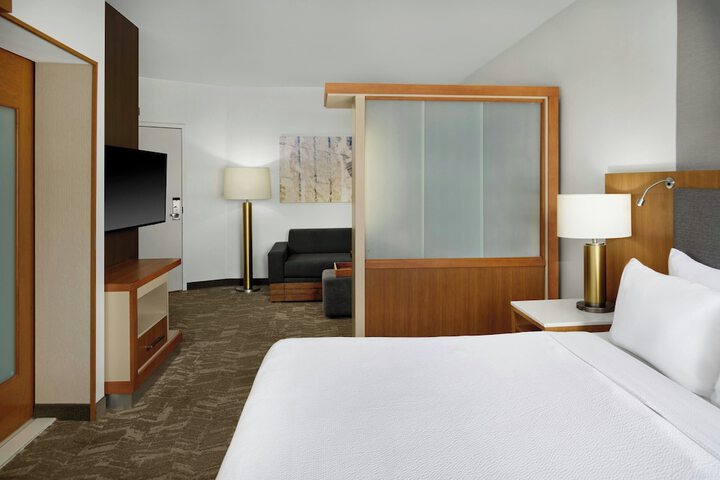 SpringHill Suites by Marriott Detroit Metro Airport Romulus