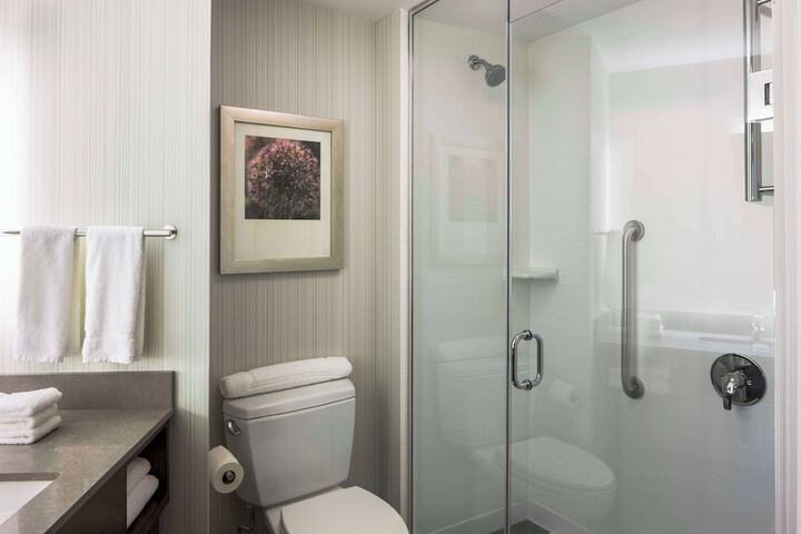 Hilton Garden Inn Long Island City New York