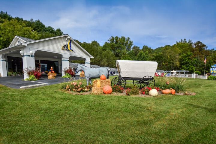 Carolina Motel