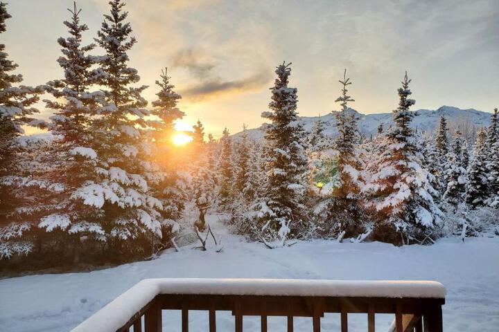 Denalis Alaskan Spruce Cabins