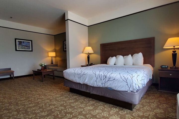 Best Western Plus Emory at Lake Fork Inn & Suites