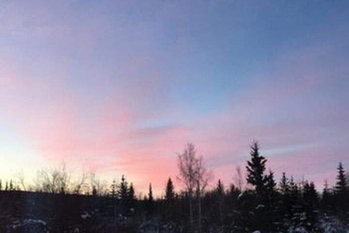 Fairbanks Moose Manor B & B