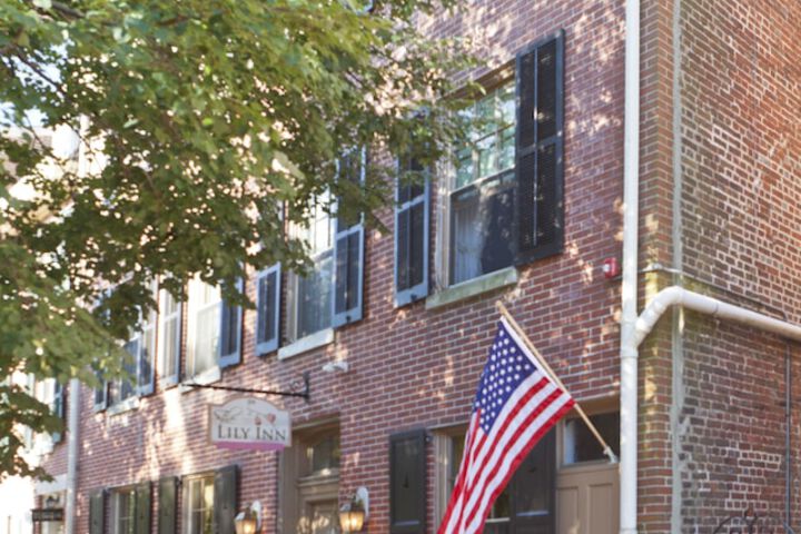 The Lily Inn