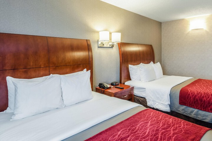 Comfort Inn & Suites West Springfield