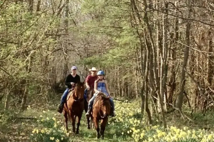Sweetspire Ranch