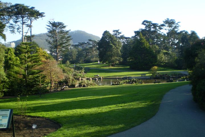 Stanyan Park Hotel