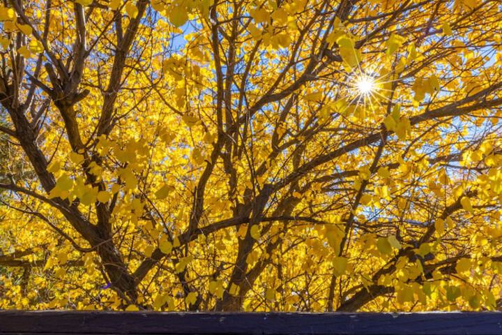 Sagebrush Inn & Suites