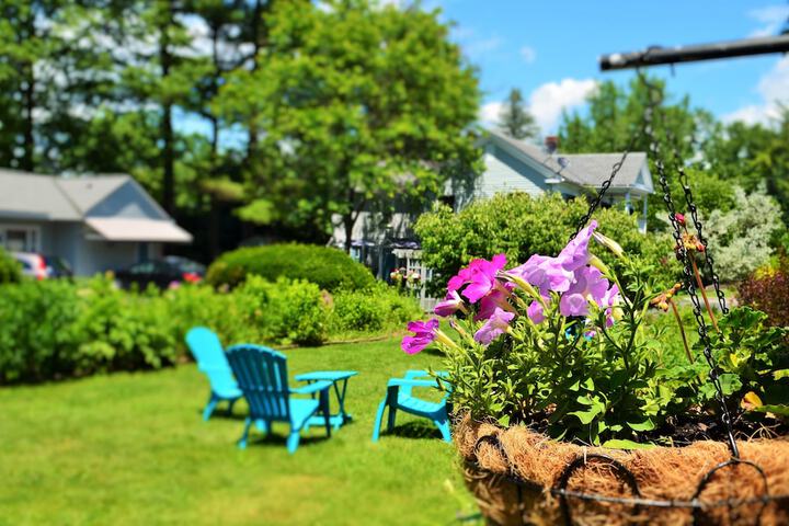 Maple Terrace Motel