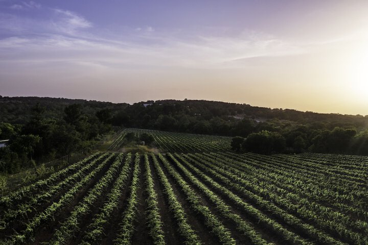 Carter Creek Winery Resort & Spa