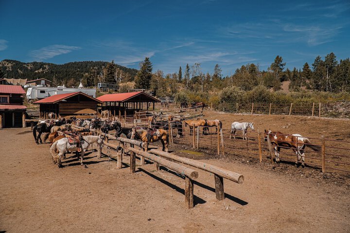 Heart 6 Ranch