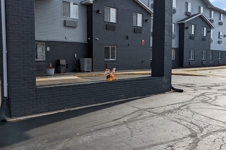 Quality Inn & Suites Delaware South